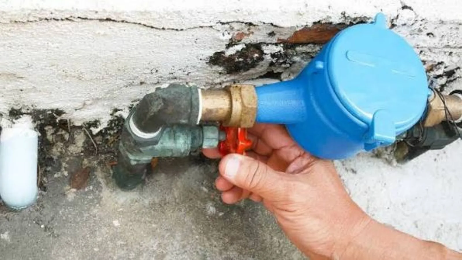 What to Do Before the Plumber Arrives for a Burst Pipe